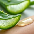découvrez les bienfaits de l’aloe vera sur la peau, ses propriétés apaisantes, hydratantes et régénérantes pour un soin naturel et efficace.